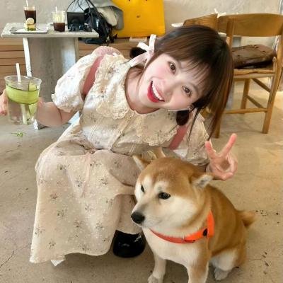 羔羊大律师